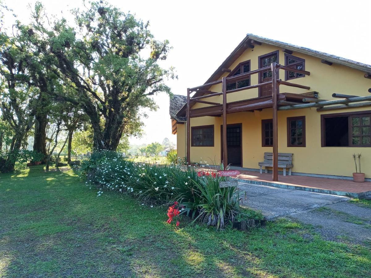 Malacara Praia Grande (Santa Catarina)